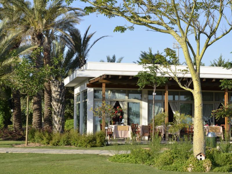 Barut Lara