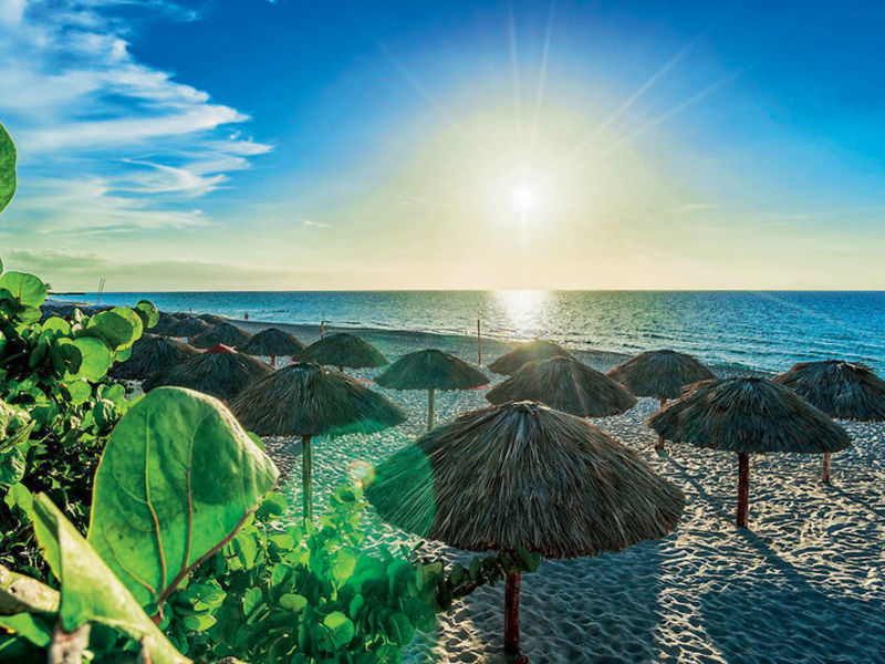 Be Live Turquesa