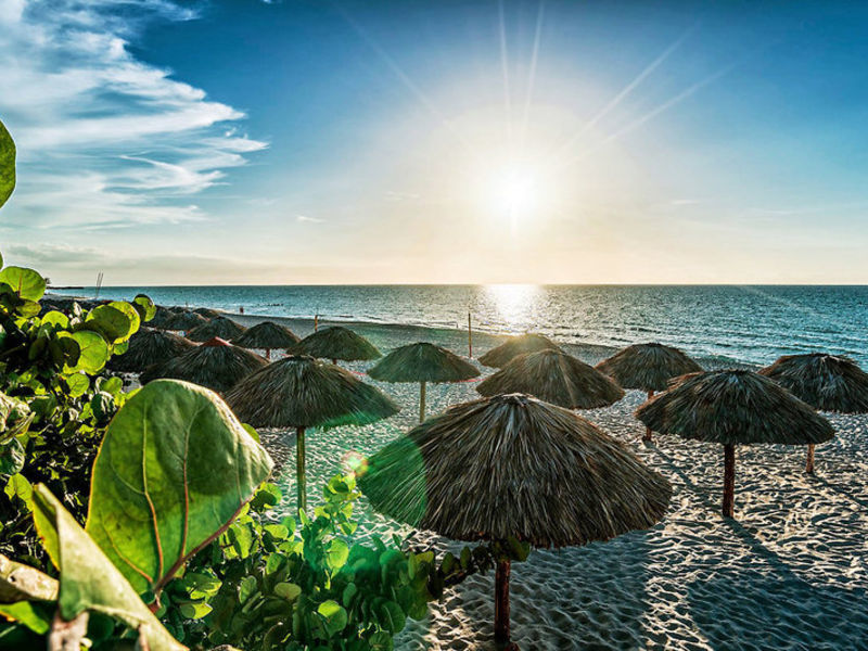 Be Live Turquesa