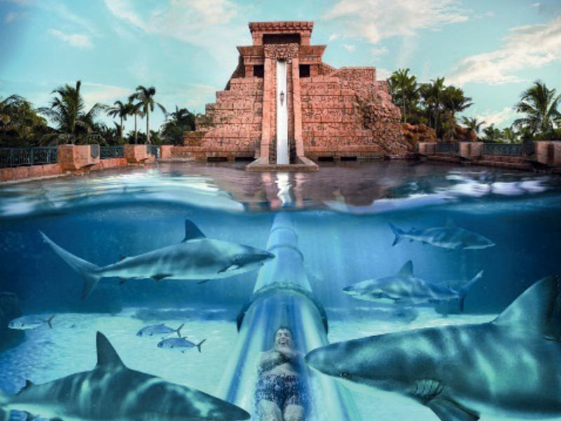 Beach Towers