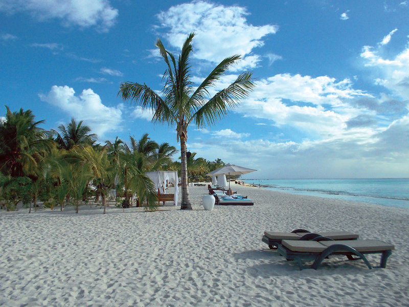 Beachcomber Dinarob
