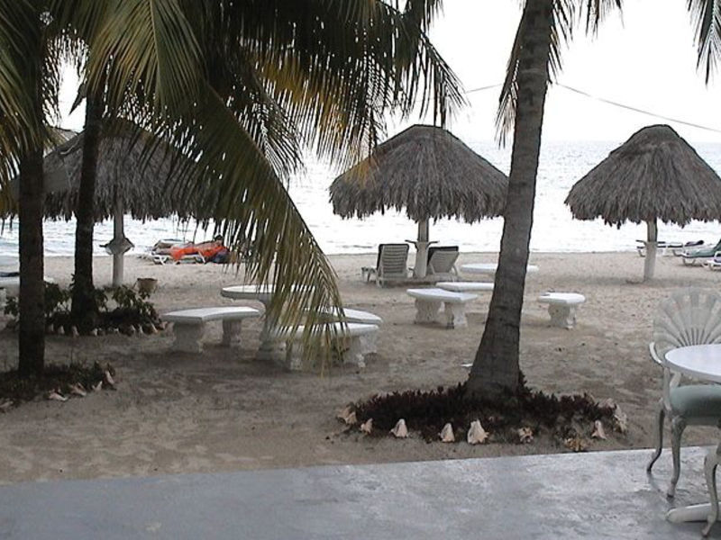 Beachcomber