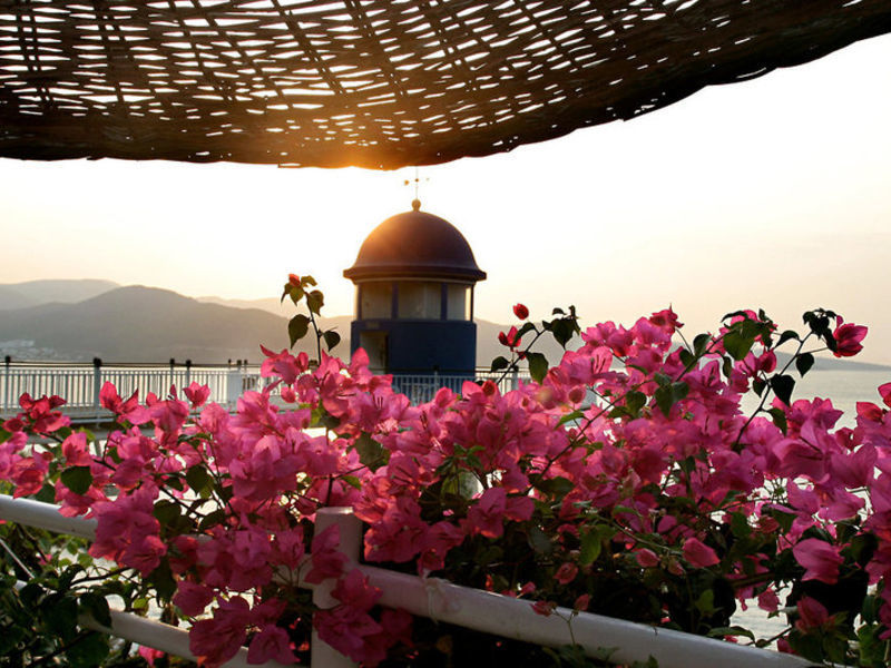 Blue Dreams Resort