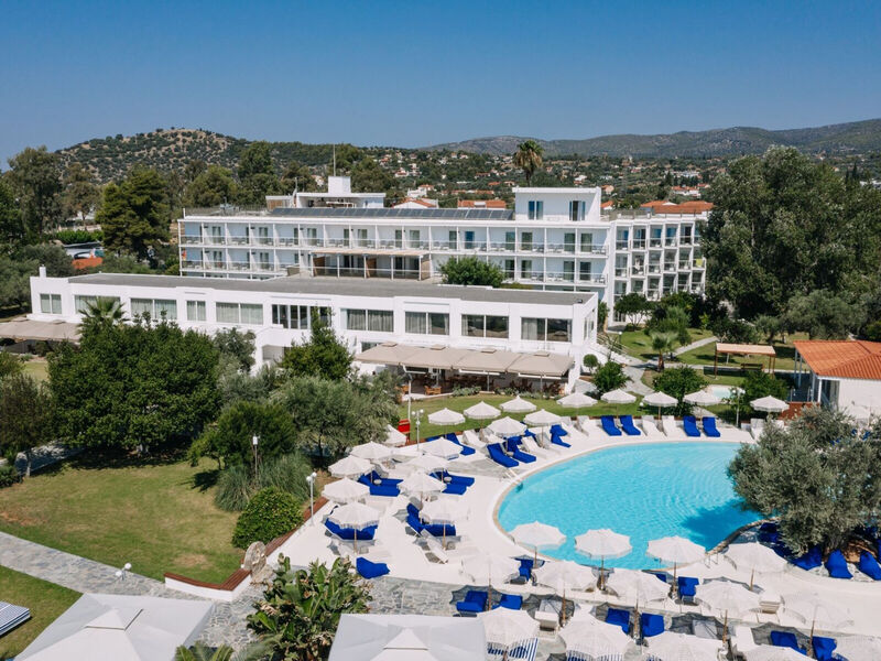 Brown Beach Evia Island