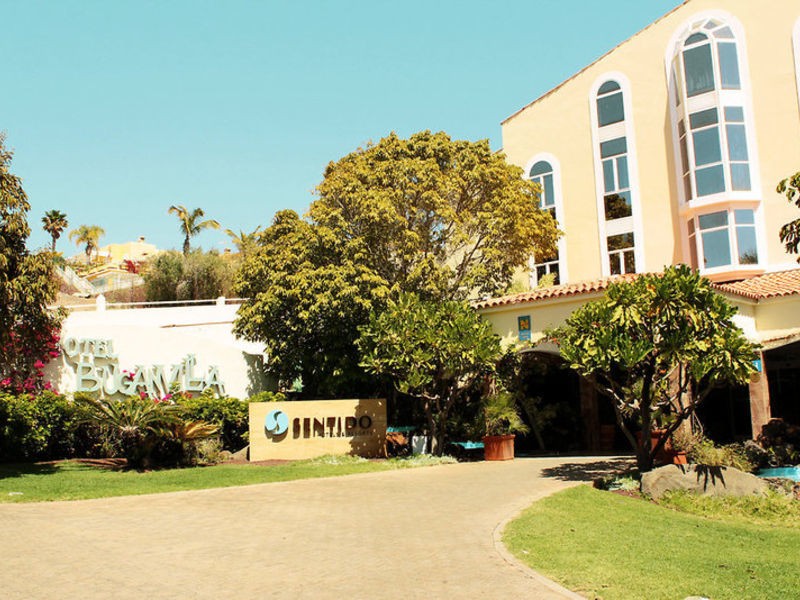 Buganvilla