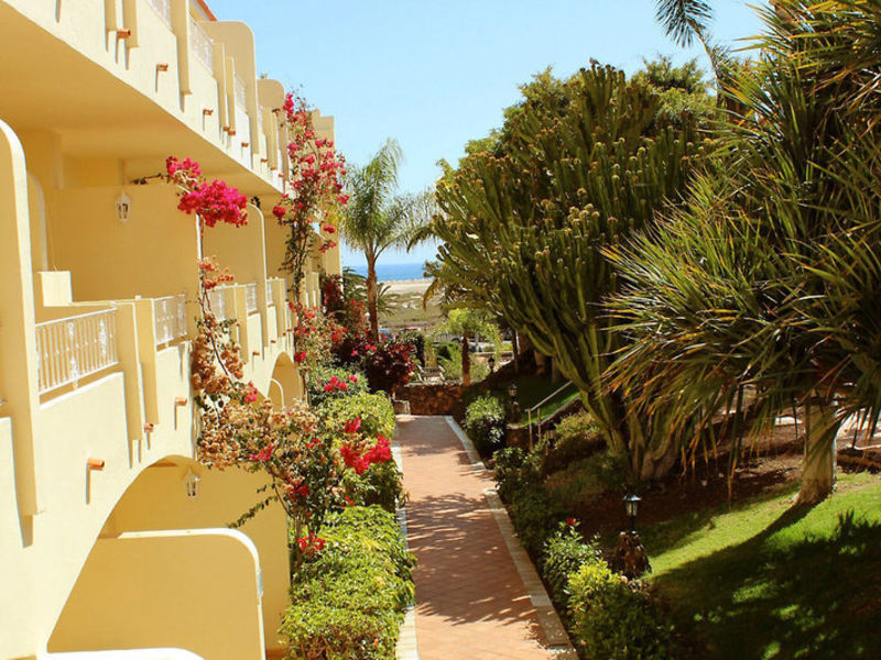 Buganvilla