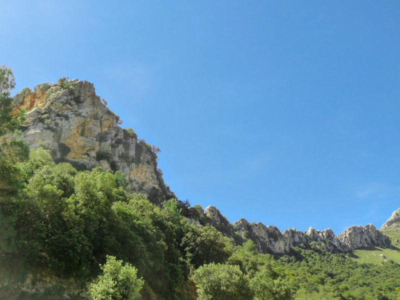 Canarios Park