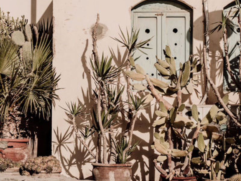 Casa Cook El Gouna