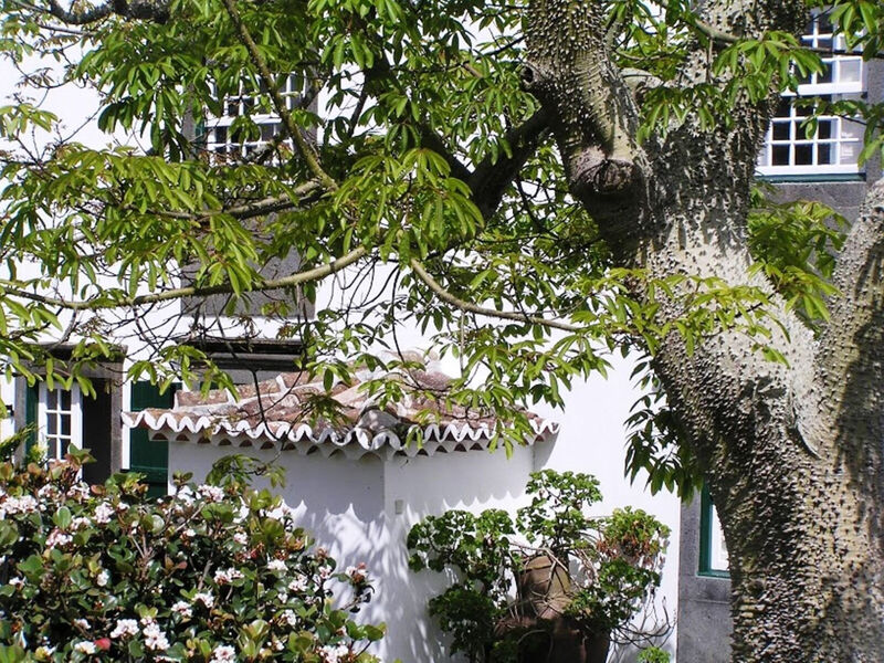 Casa Das Calhetas