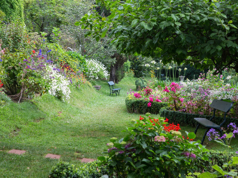 Casa Velha Do Palheiro