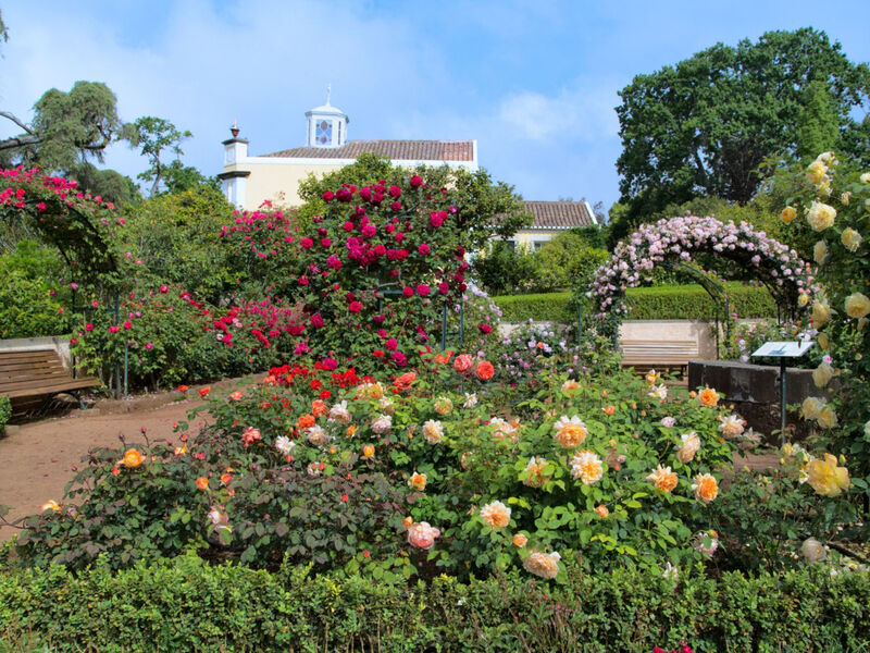 Casa Velha Do Palheiro