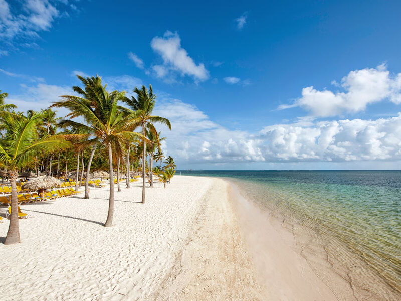 Catalonia Bavaro Beach Golf &Amp; Casino Resort