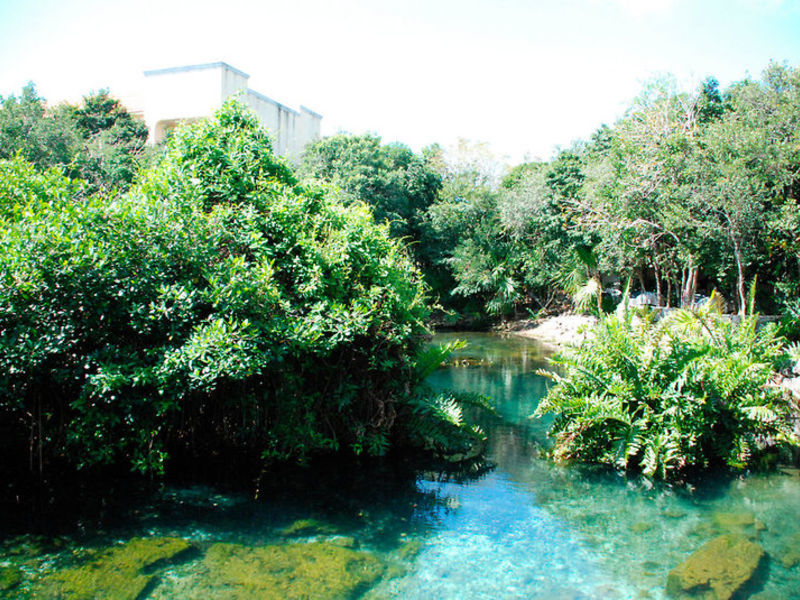 Catalonia Royal Tulum