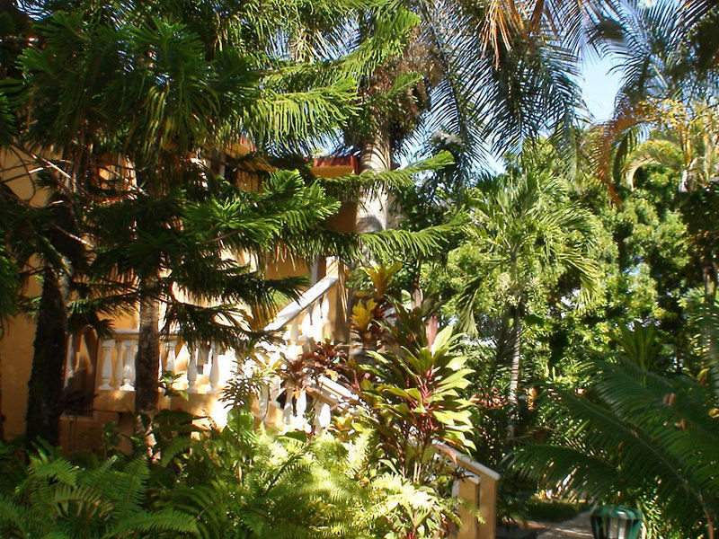 Celuisma Cabarete
