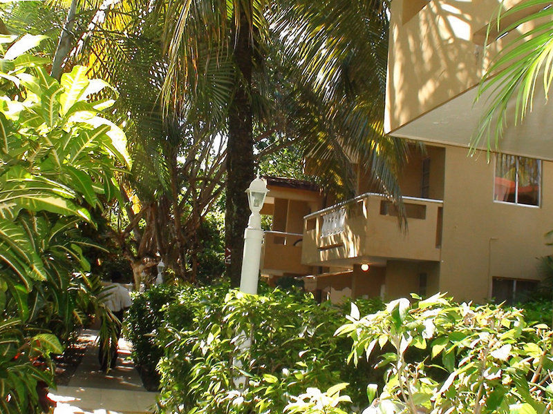Celuisma Paraiso Tropical