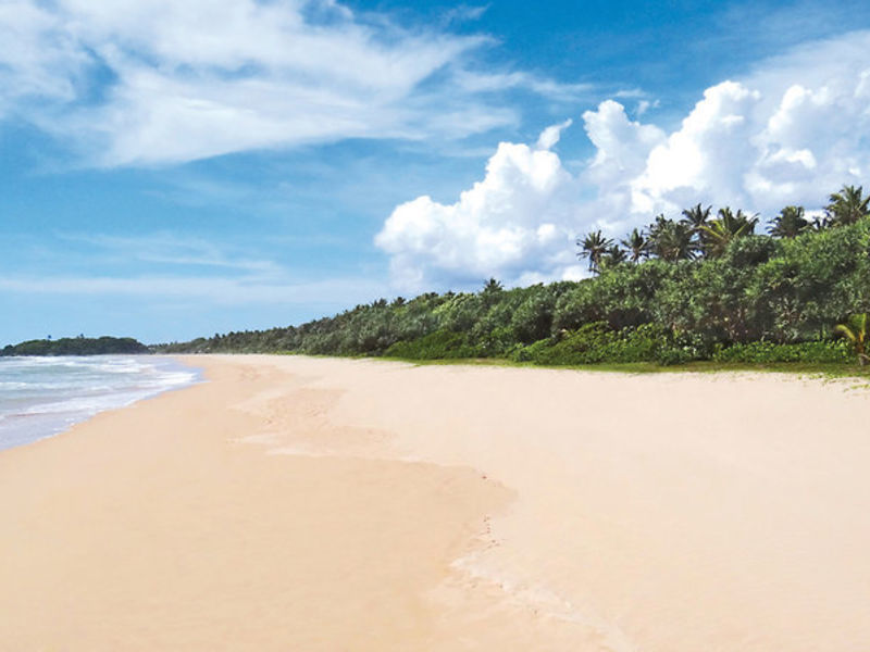 Ceysands