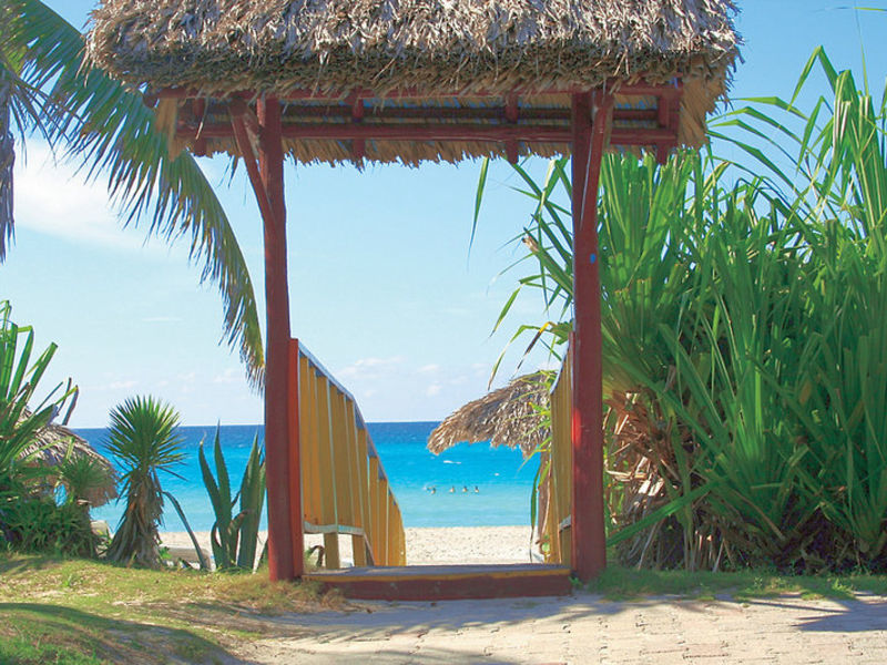 Club Amigo Tropical