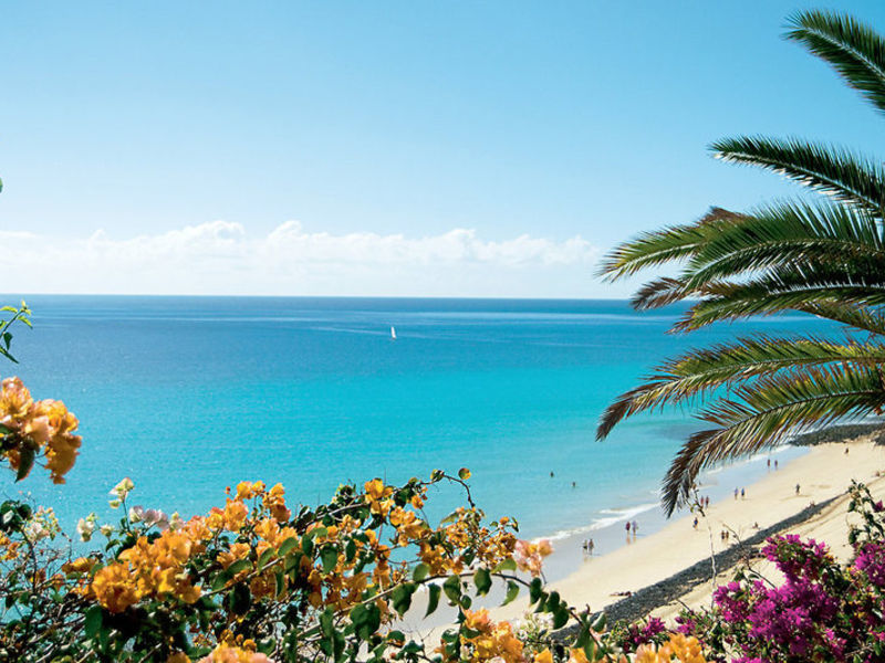 Club Paraiso Playa