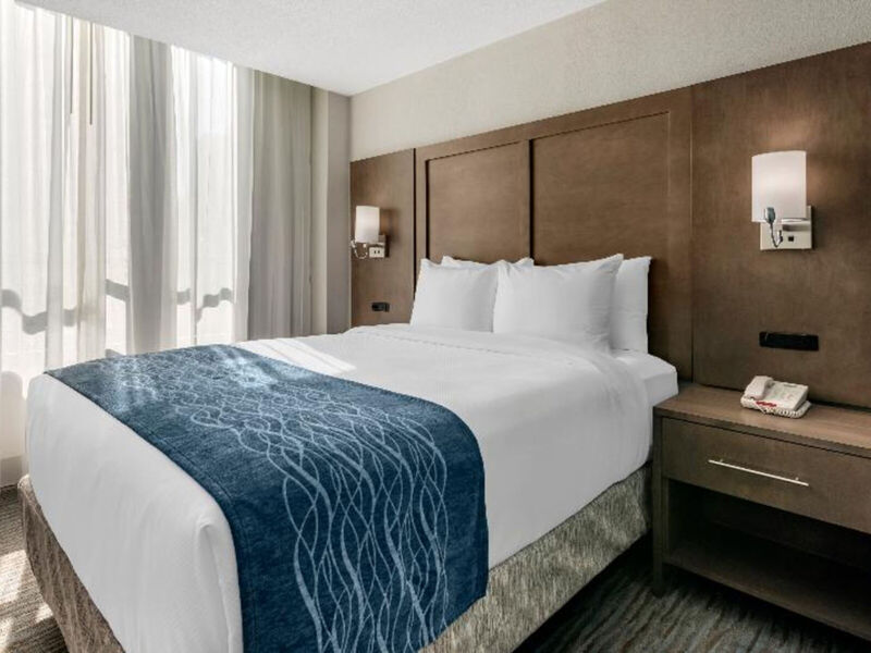Comfort Inn &Amp; Suites Downtown Brickell