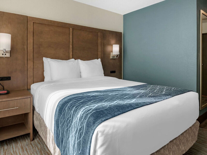 Comfort Inn &Amp; Suites Downtown Brickell