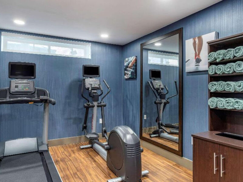 Comfort Inn Jfk Airport