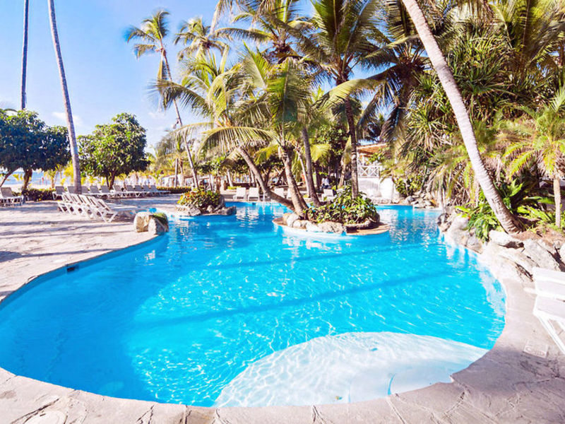 Coral Costa Caribe