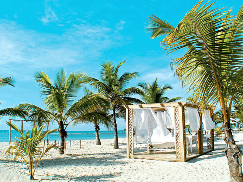 Coral Costa Caribe