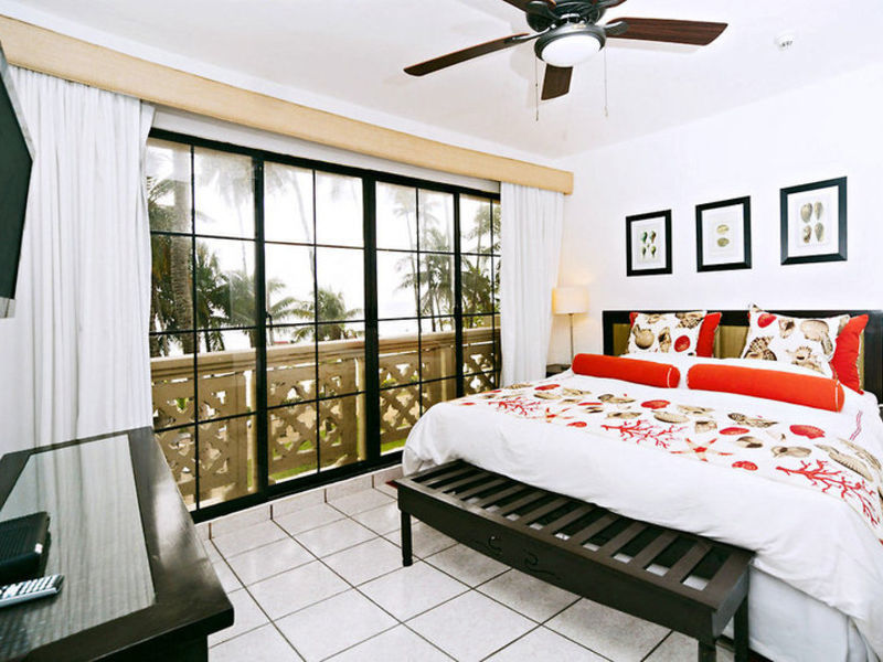 Coral Costa Caribe
