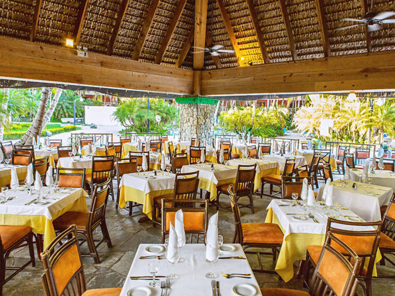 Coral Costa Caribe