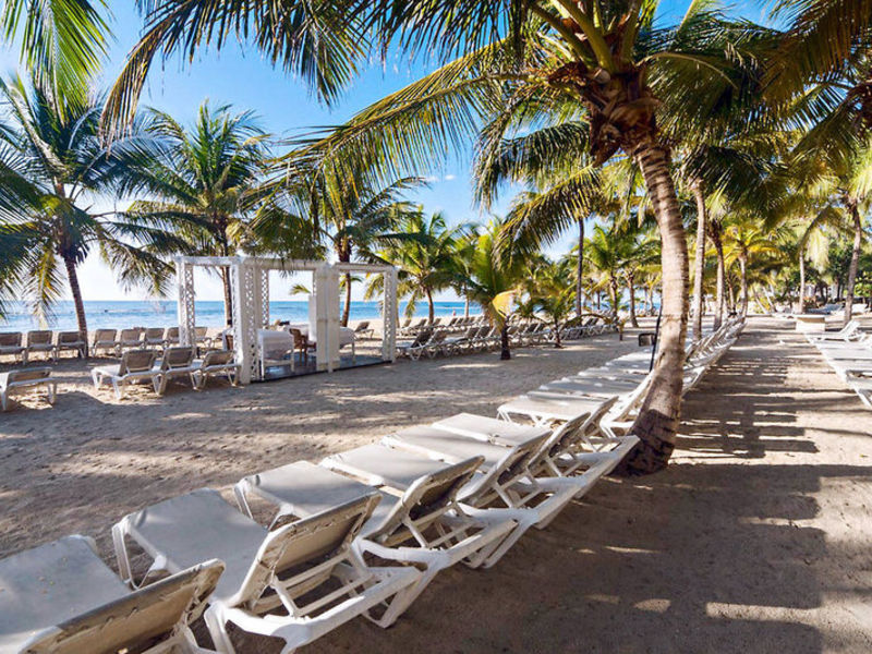 Coral Costa Caribe