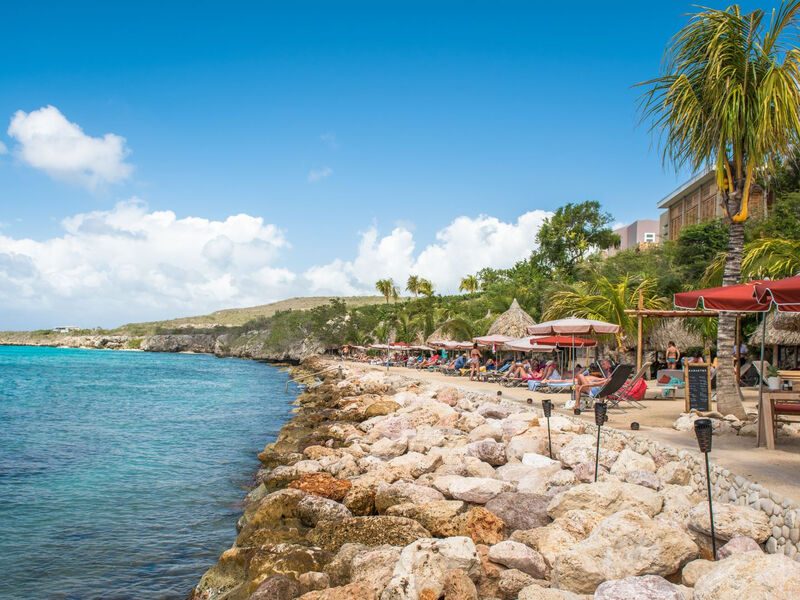 Coral Estate Luxury Resort