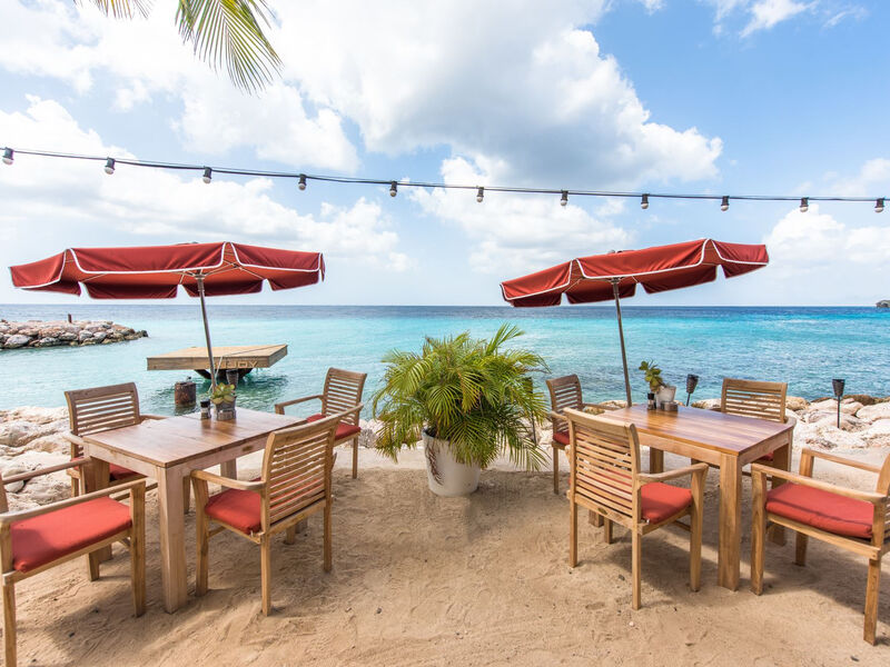 Coral Estate Luxury Resort