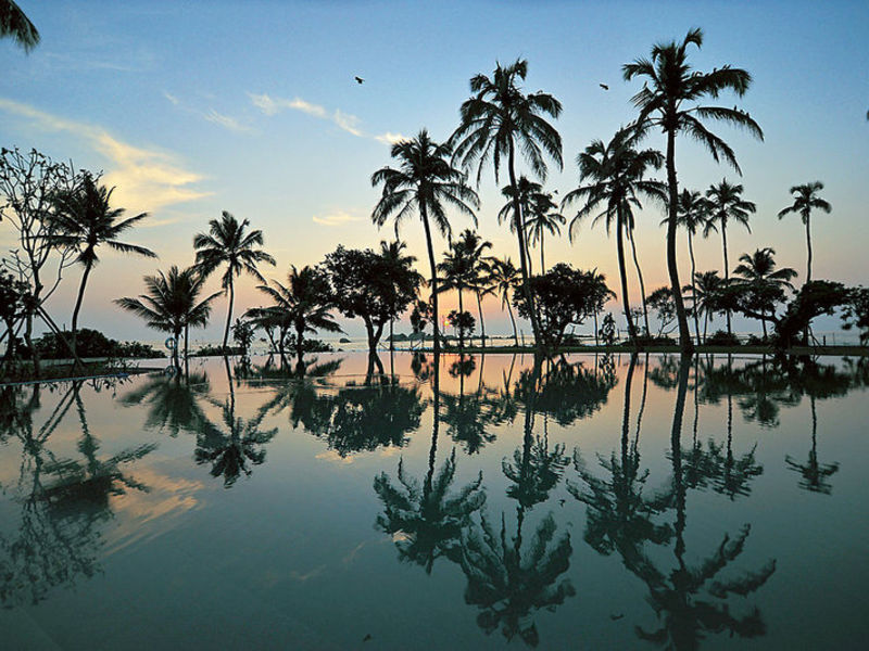 Coral Gardens
