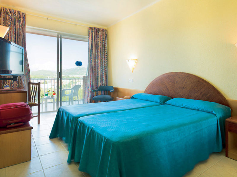 Delfin Siesta Mar