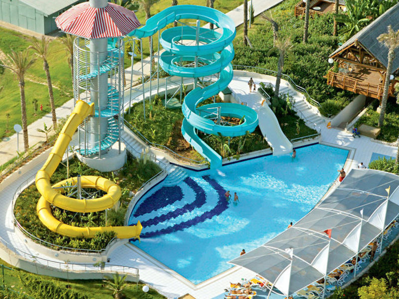 Delphin Diva