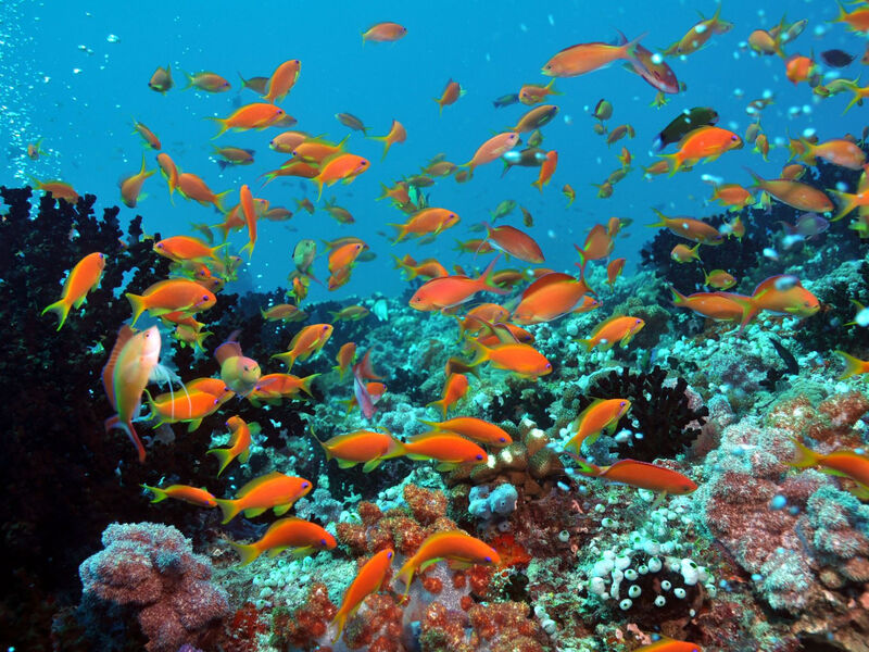 Dhigali Maldives