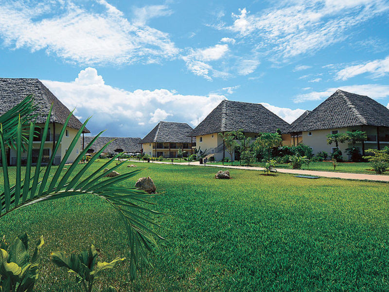 Diamonds Dream of Zanzibar