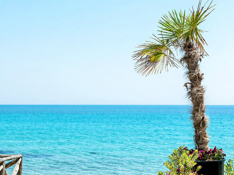 Dolphin Beach