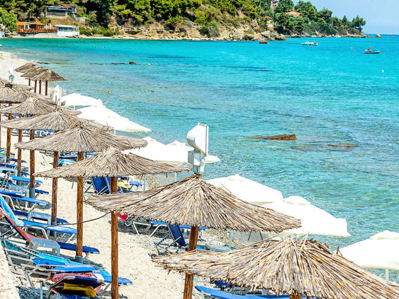 Dolphin Beach