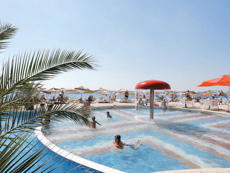 Dolphin Marina