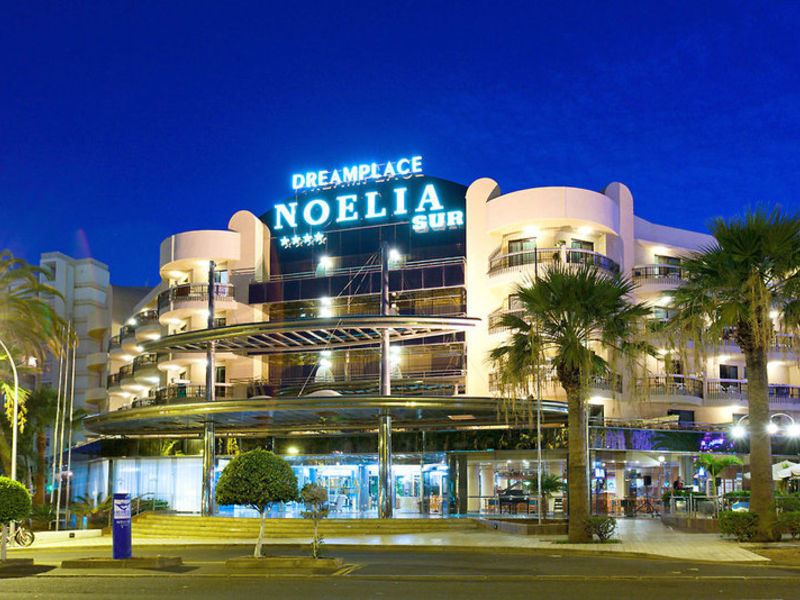 Dream Noelia Sur