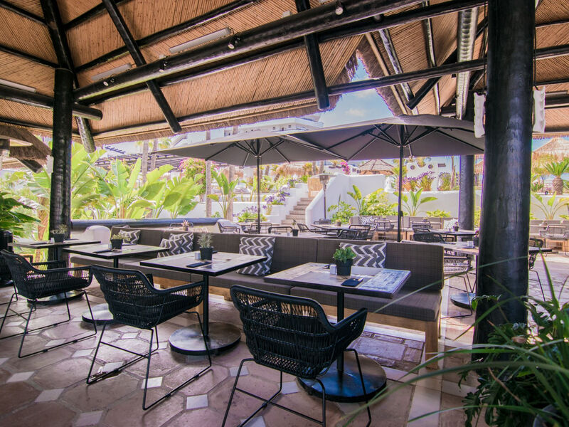 Dreams Jardin Tropical