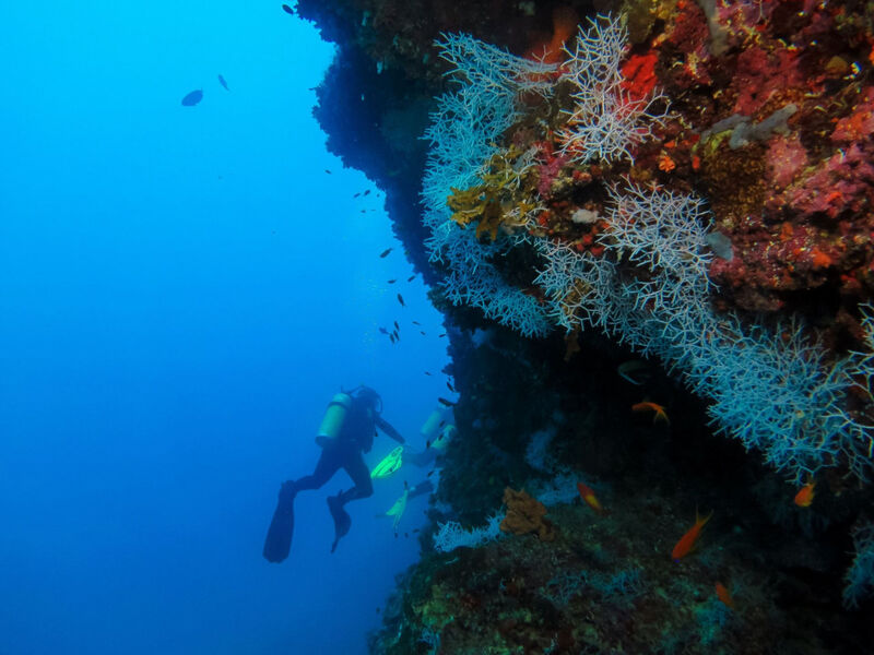 Equator Village Maldives