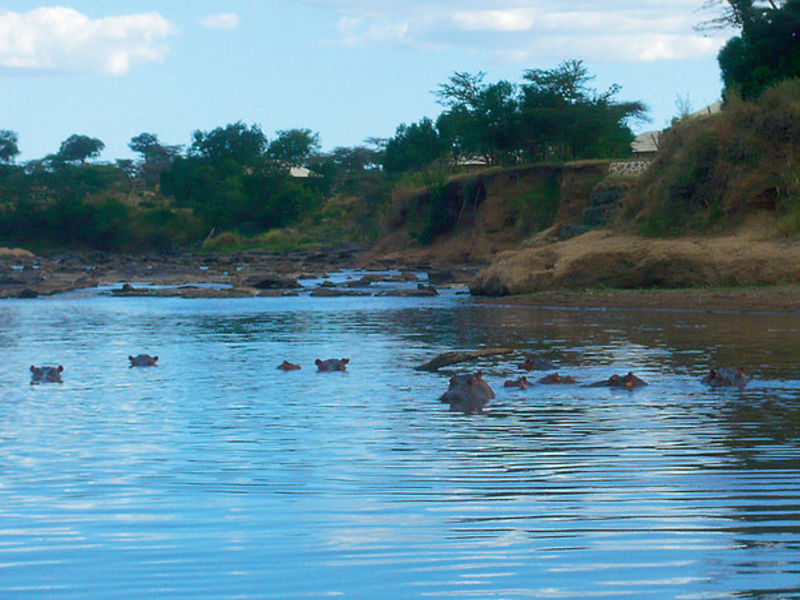 Exploreans Mara Rianta Lodge