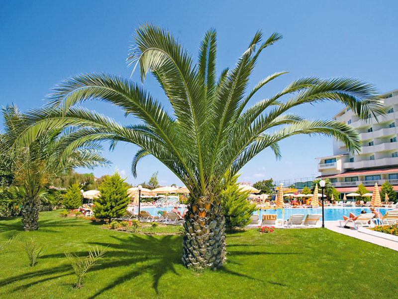 Feabeach Side