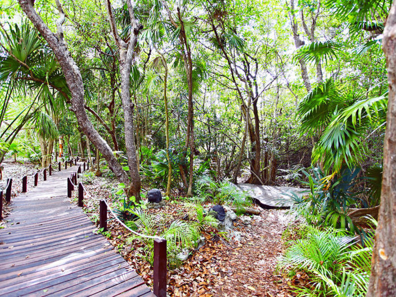 Flitter Sandos Caracol