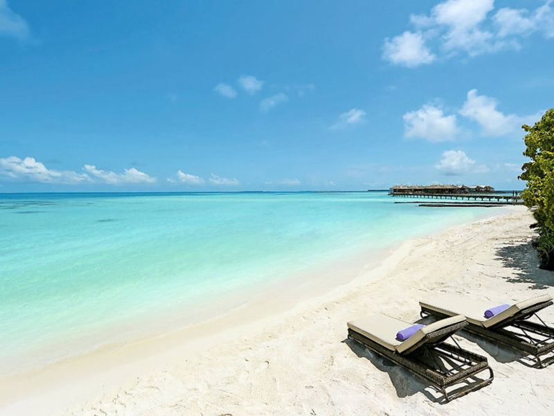 Flitterw. / Constance Moofushi