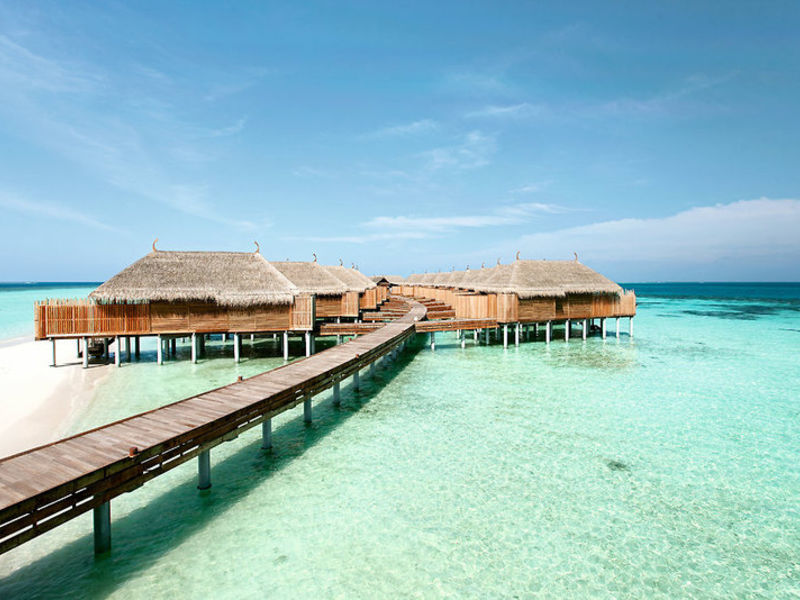 Flitterw. / Constance Moofushi