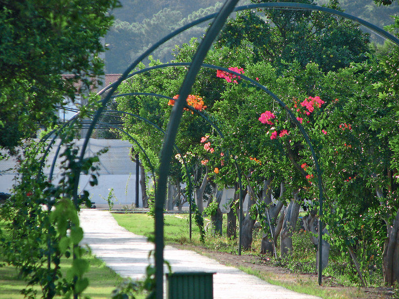 Garden Resort Bergamot