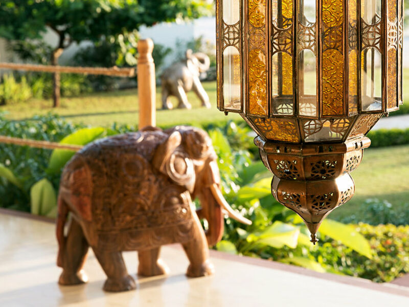 Gold Zanzibar